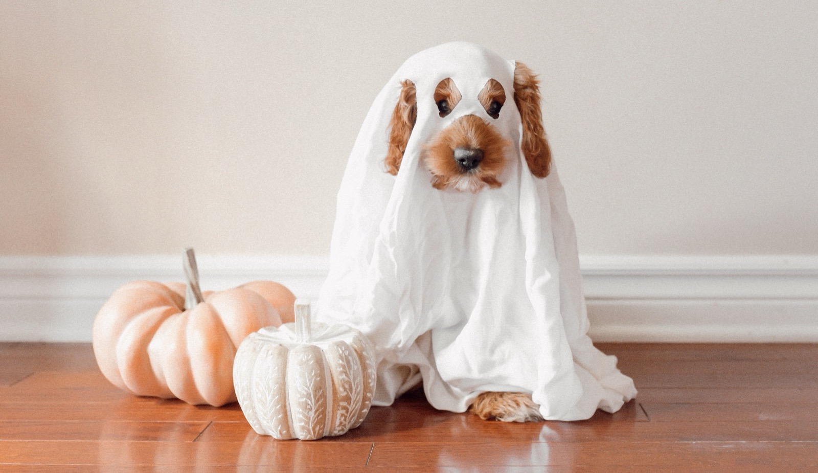 10 Hair-Raising Halloween Treats You Can Do at Home