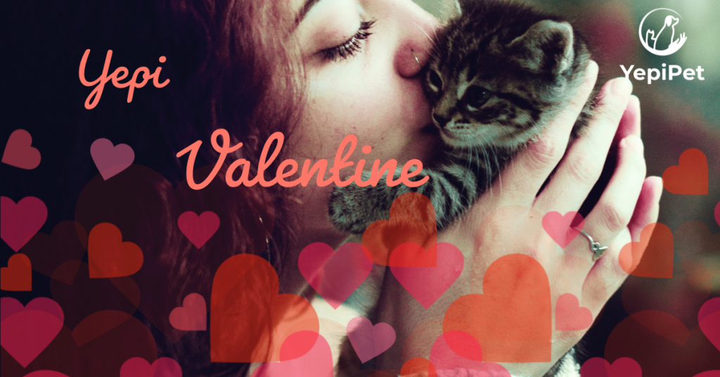 5 Valentine’s Day Gift Ideas for Your Cat and Dog