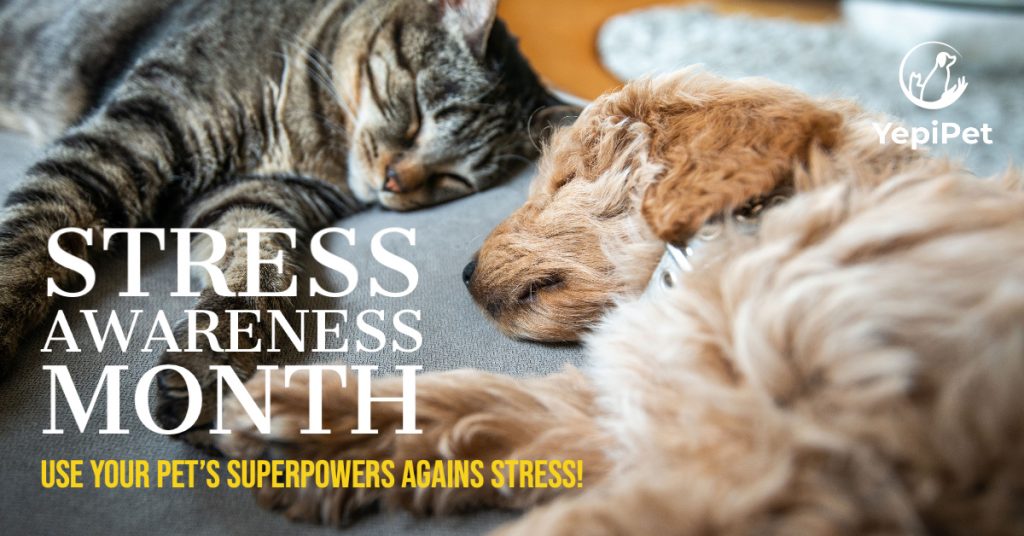 Stress Awareness Month: the stress reducing benefits of owning a pet.