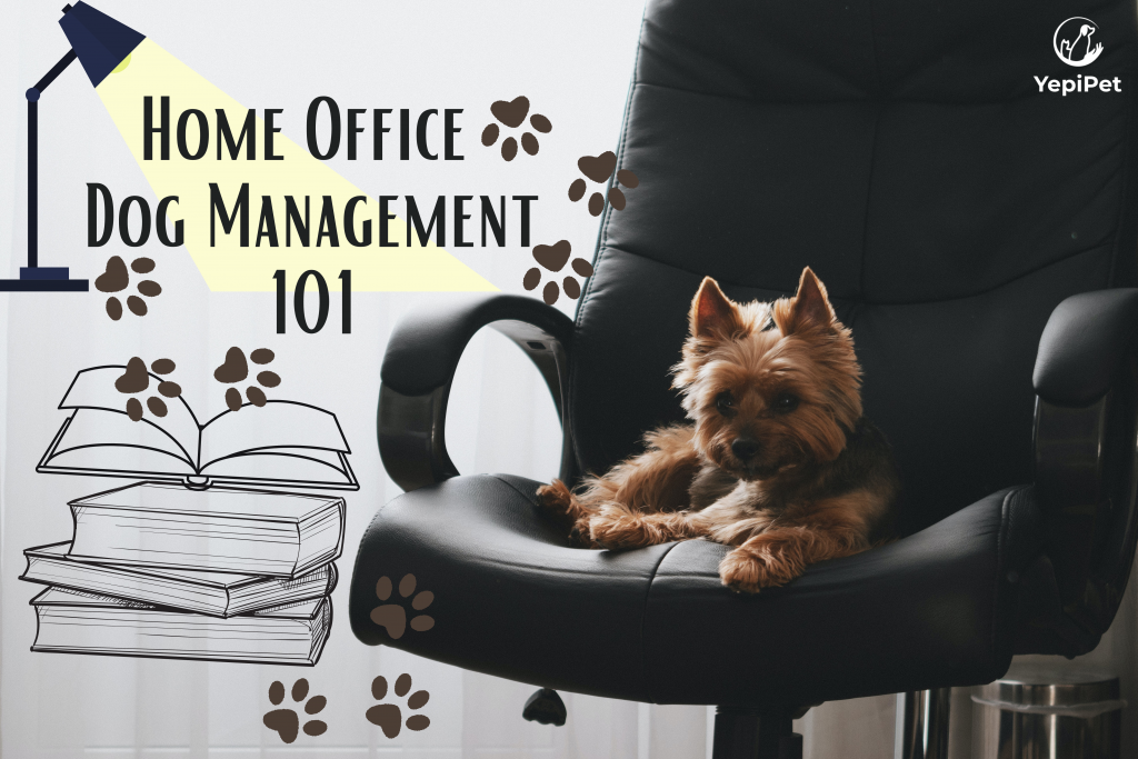 5 Steps for Dog Management during Home Office