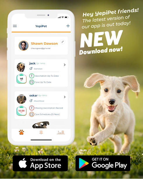 YepiPet Brings Everything Pet Owners Need Directly to Their Phones