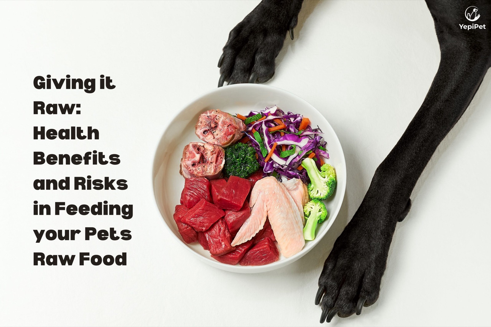 Giving it raw: Health benefits and risks in feeding your pets raw food