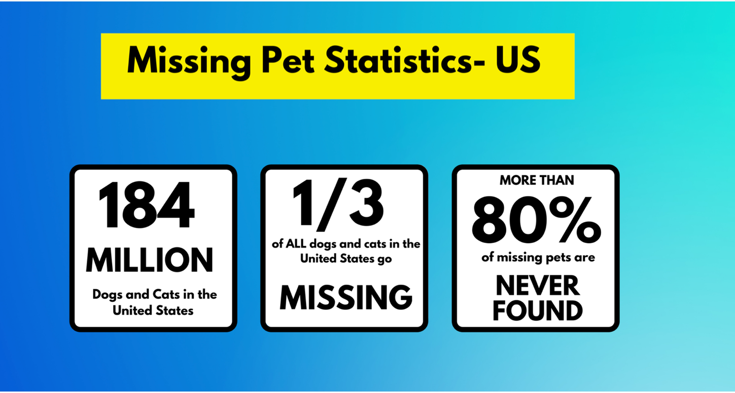 Lost Pets: Today is a good day for a tag!