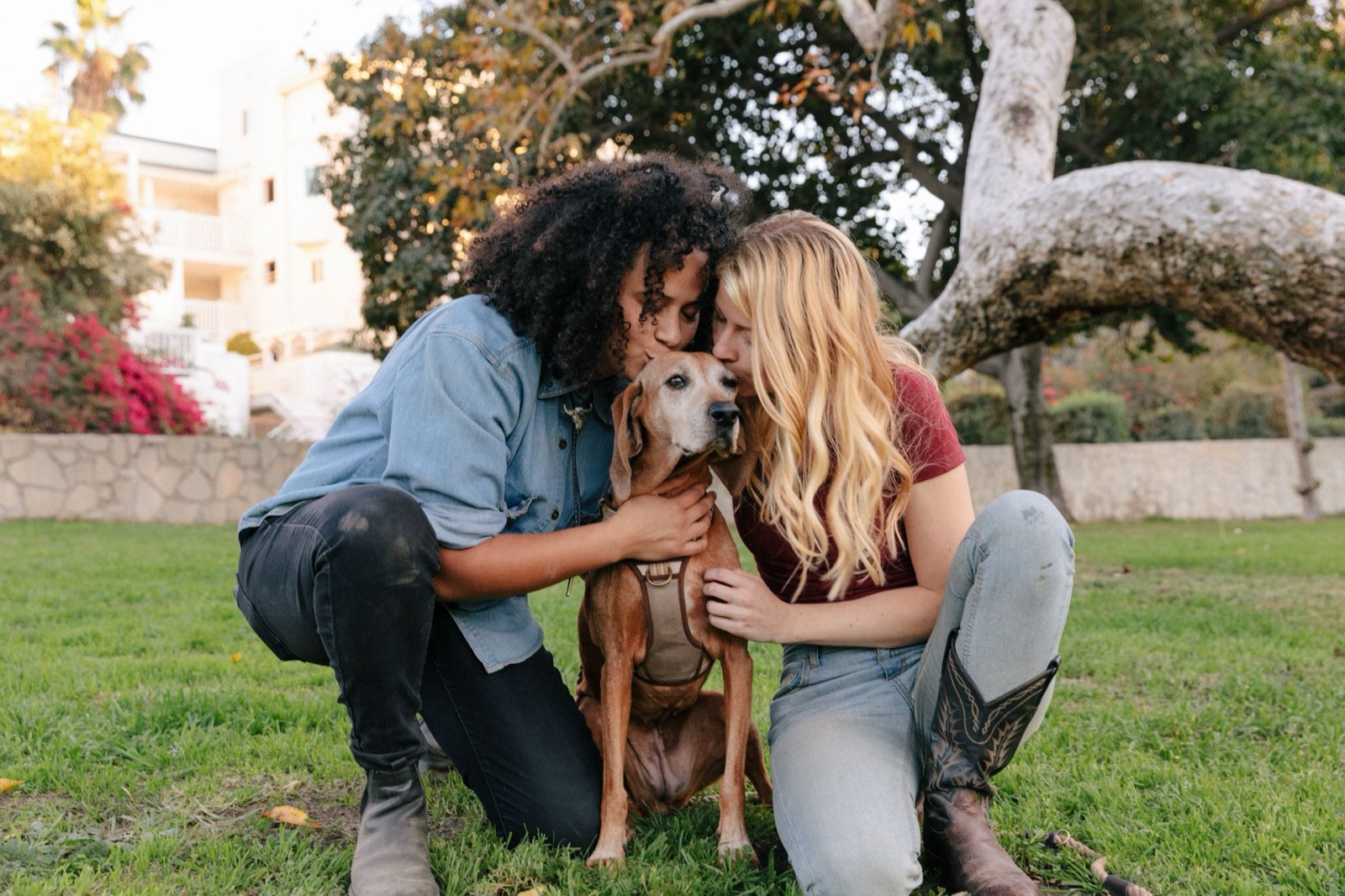 (Full Sharing Update): Share your pet profile with your friends & family!