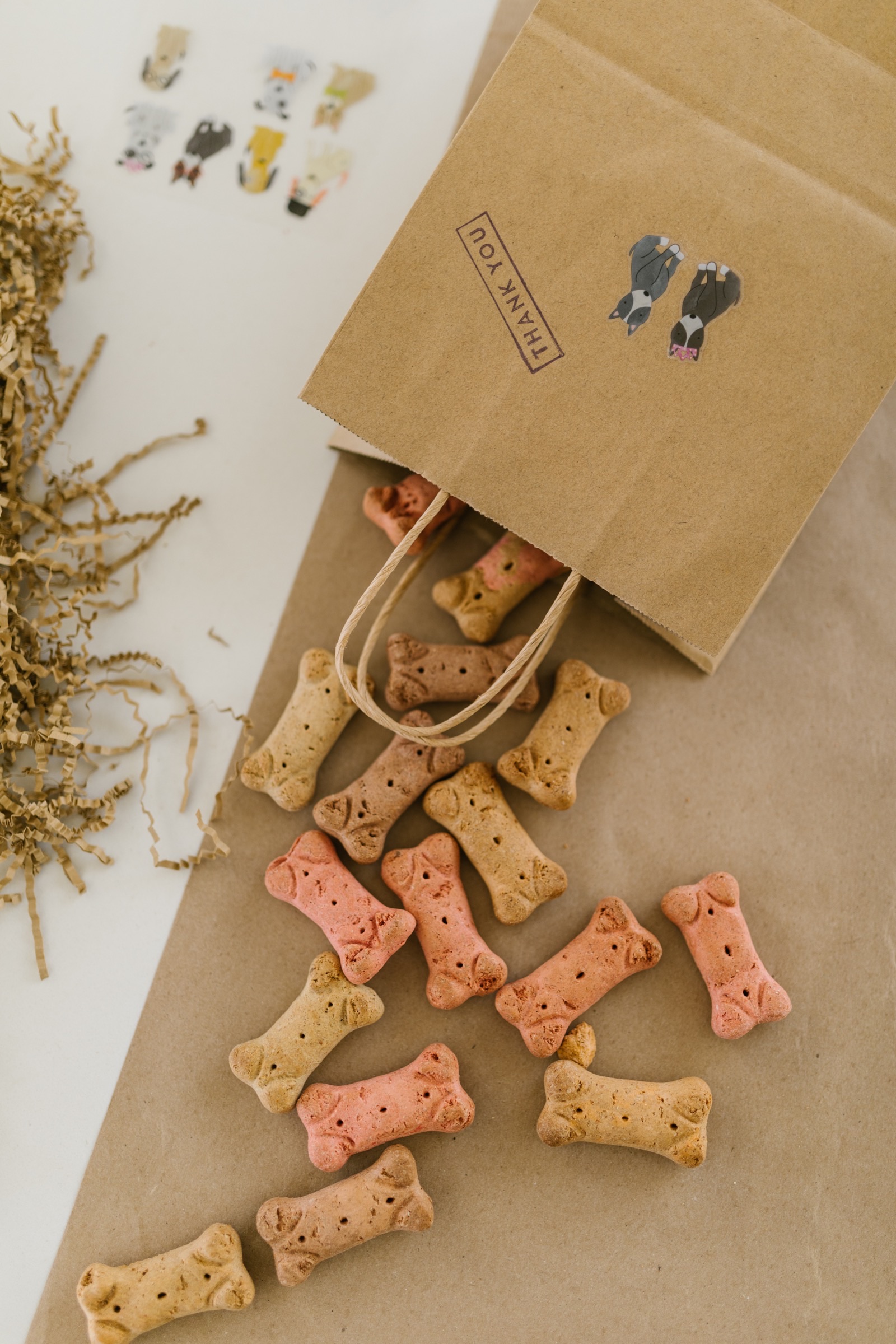 Thanksgiving Feasting: Safe and Special Treats for Your Pets