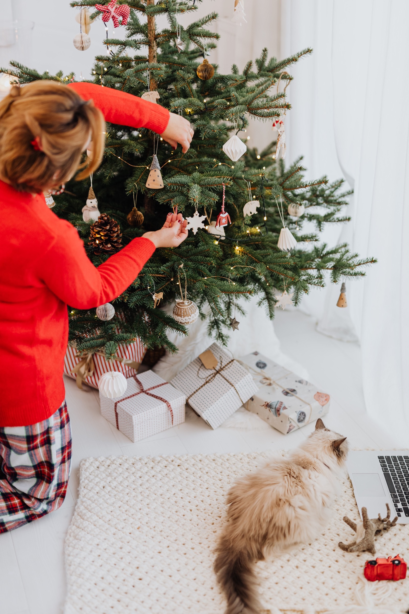 The Joy of Giving: Choosing the Perfect Gifts for Your Pets