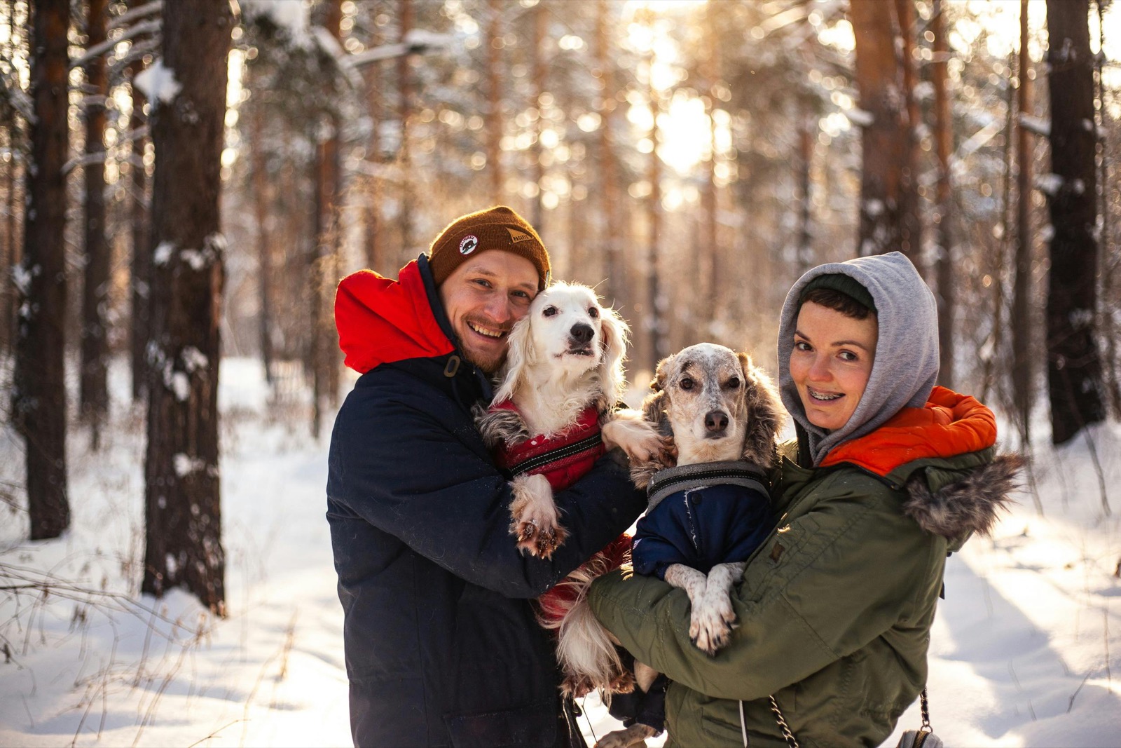 Creating a Pet-Safe Winter Wonderland: Cold Weather Tips