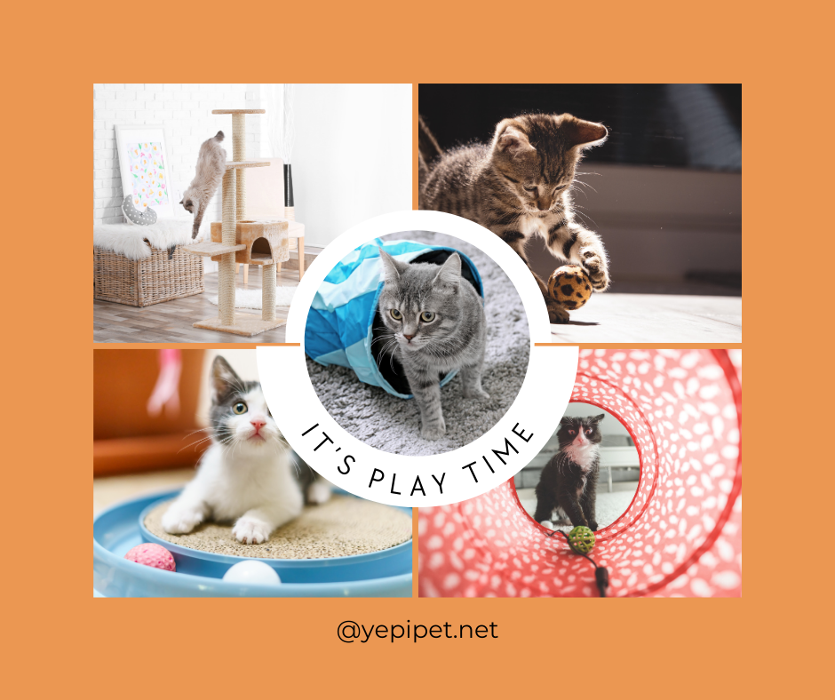 Welcome to the Purrfect Play Palace: Entertaining Your Cat in Style