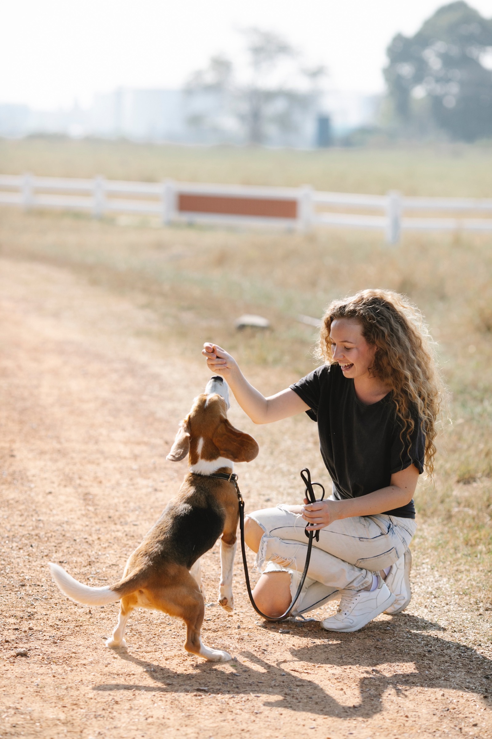 National Train Your Pet Month