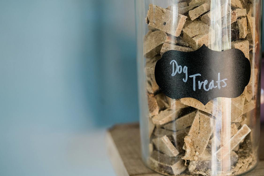 Free Dog Food in a Glass Container Stock Photo