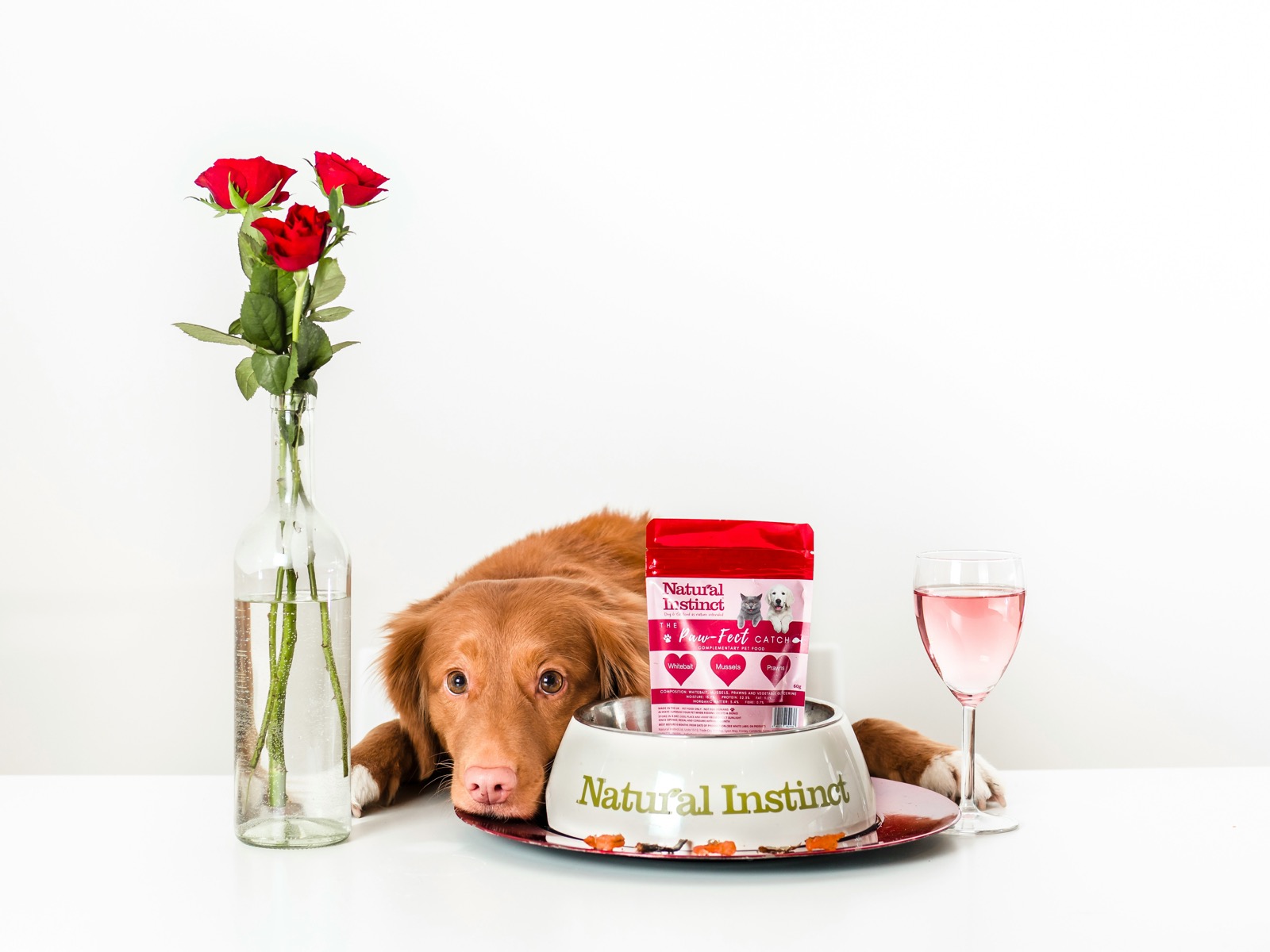 Spoiling Your Fur-Babies This Valentine's Day