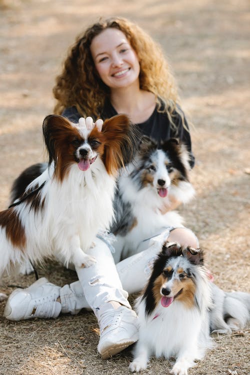 Free A Woman Sitting with Her Dogs Stock Photo
