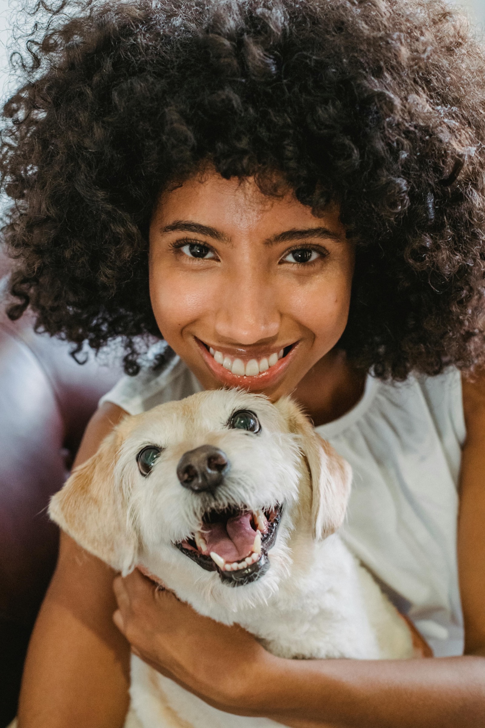 Preserving Precious Smiles: The Significance of Dental Health for Pets