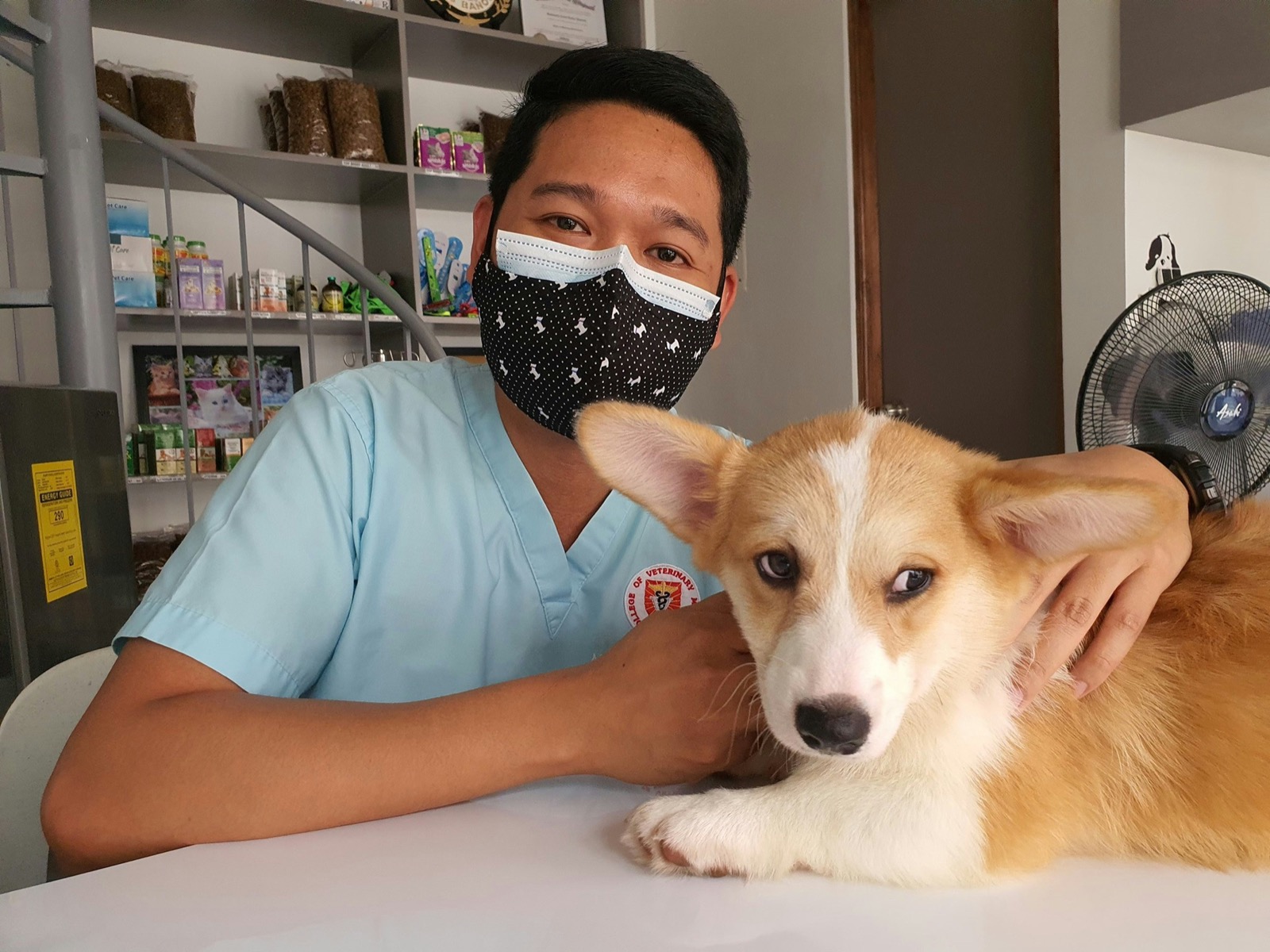 Prevention of Lyme Disease in Dogs Month: Top Tips for Outsmarting Icky Ticks and Lyme Woes