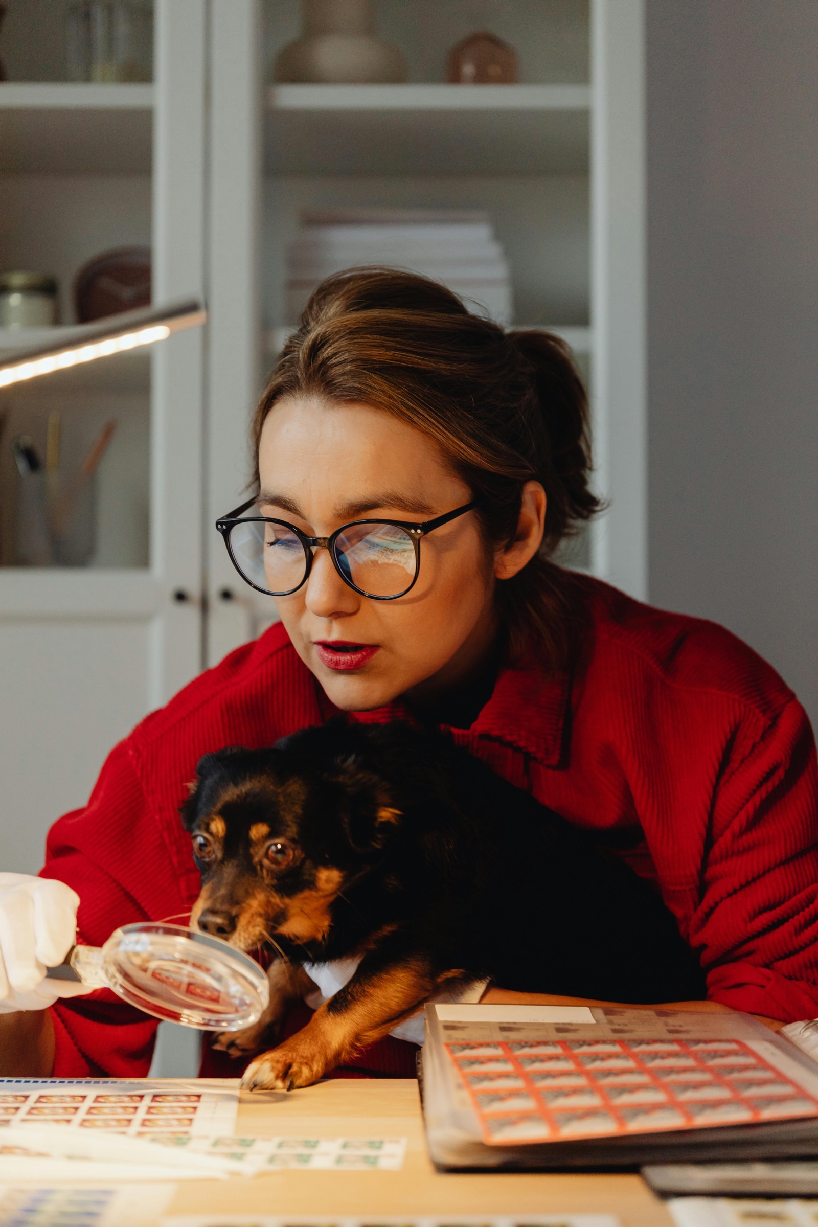 Embrace the Paw-sitive Vibes: A Guide to Take Your Pet to Work Week