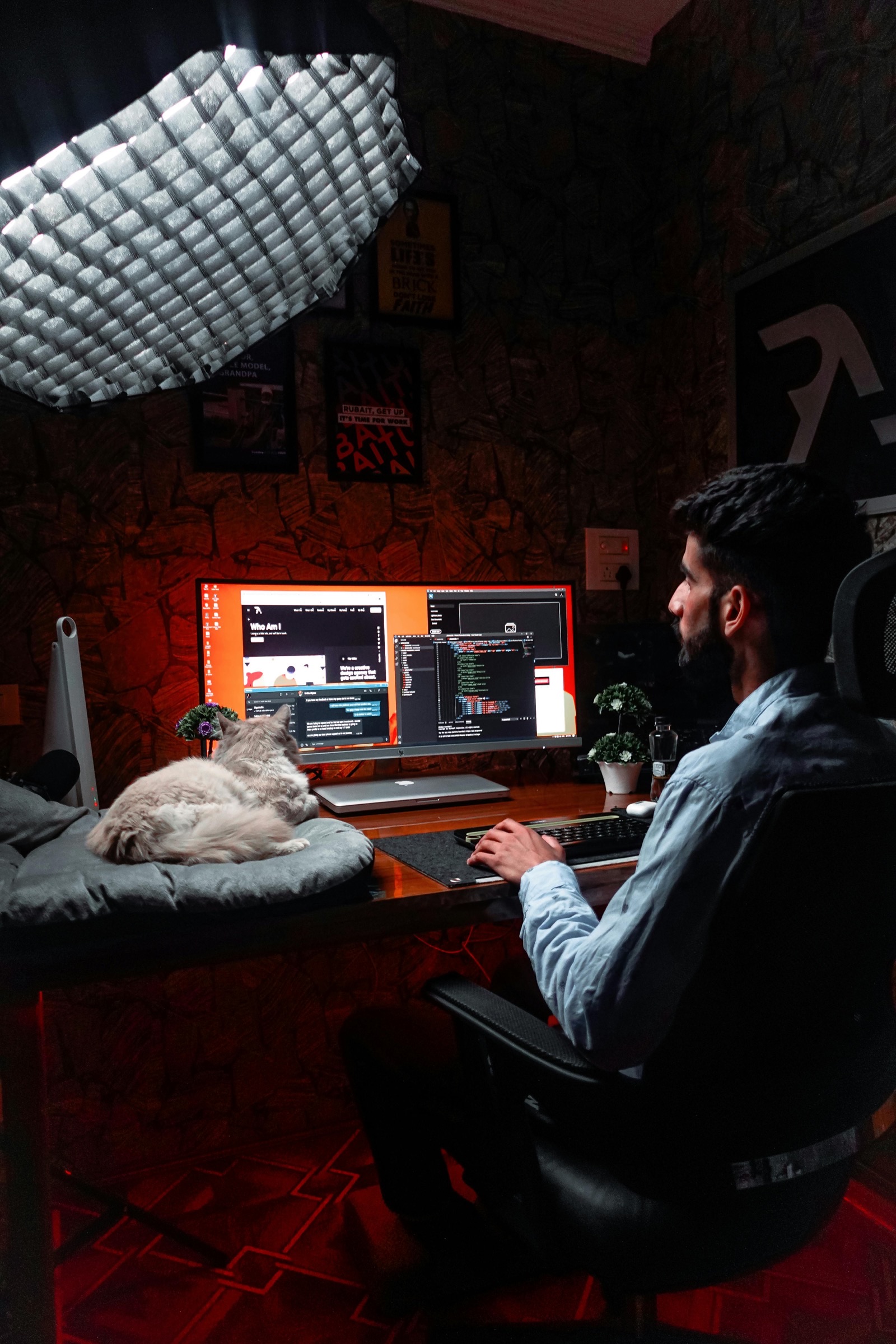 The Ultimate Guide: Taking Your Cat to Work