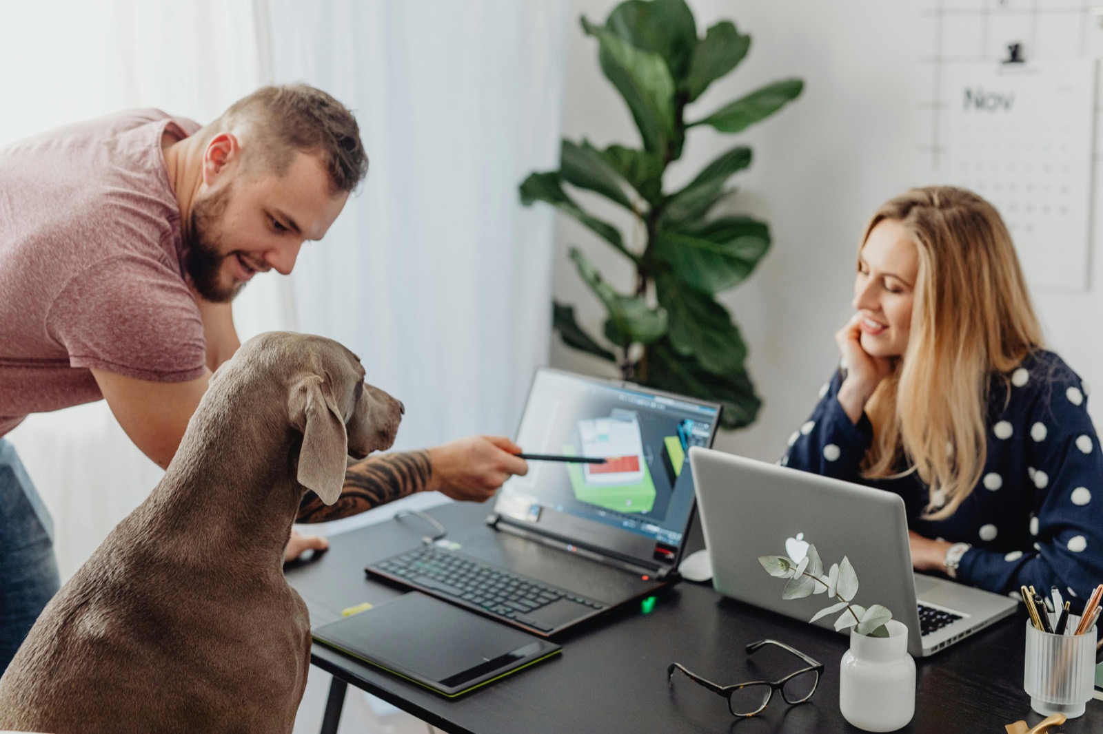 How to Make Your Dog Office-Ready (And Vice Versa)
