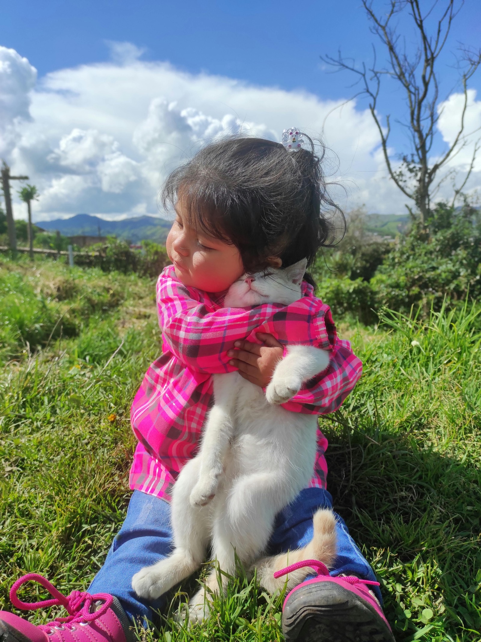 Kitten Care 101: Your Ultimate Guide