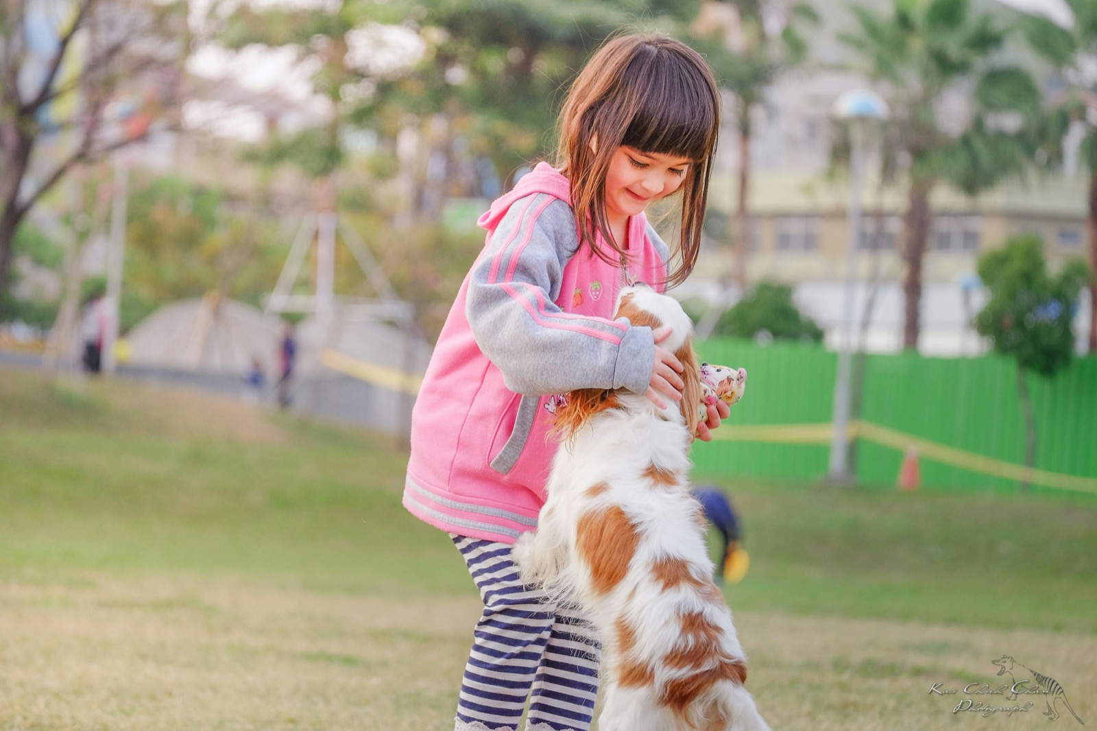 Making Summer Cool: Tips for Keeping Your Pets Comfortable in the Heat
