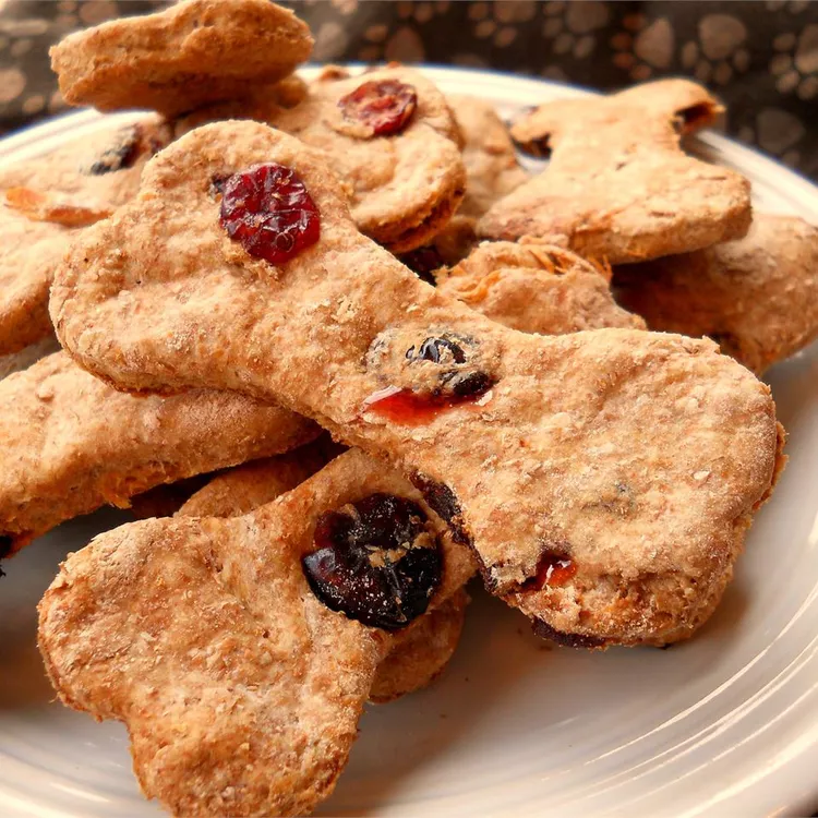 09/23/24: Autumn Delights: Wholesome Fall Treats for Your Pets