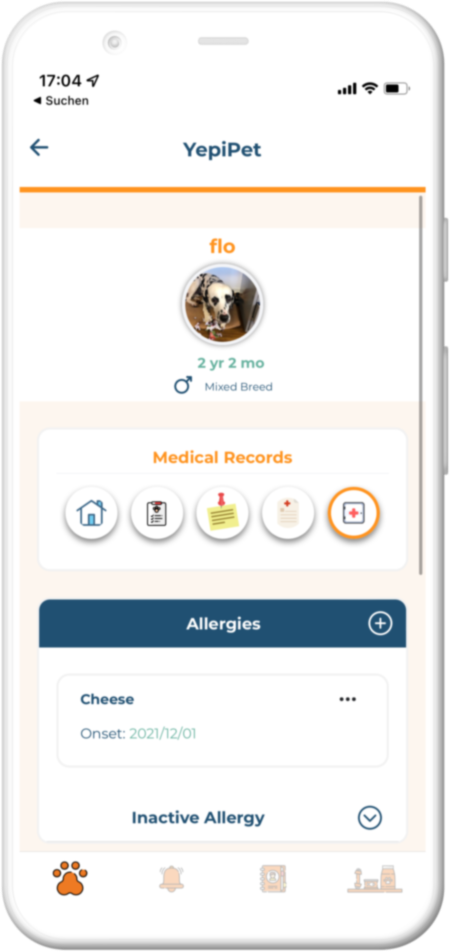 Screenshot of the app feature in smartphone