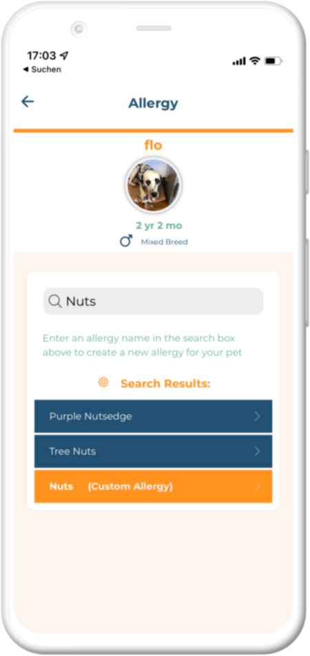 Screenshot of the feature in Smartphone
