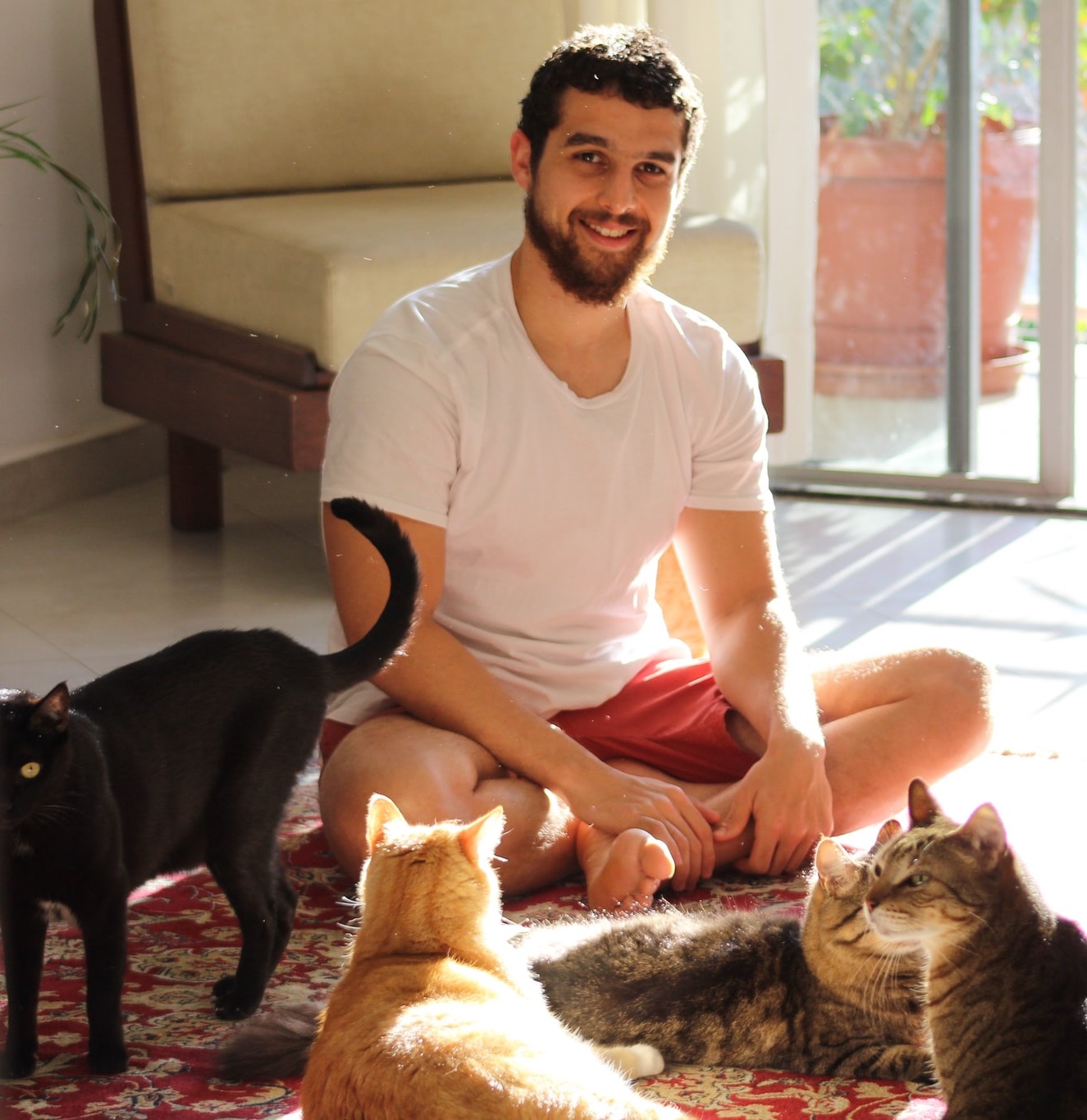 YepiTag testimonal: man with several cats