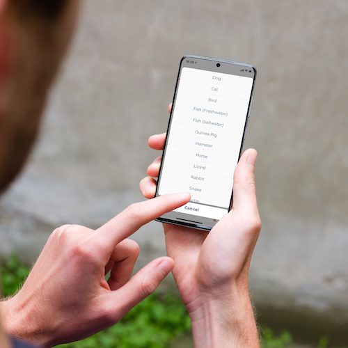 person selecting the animal type on her smartphone